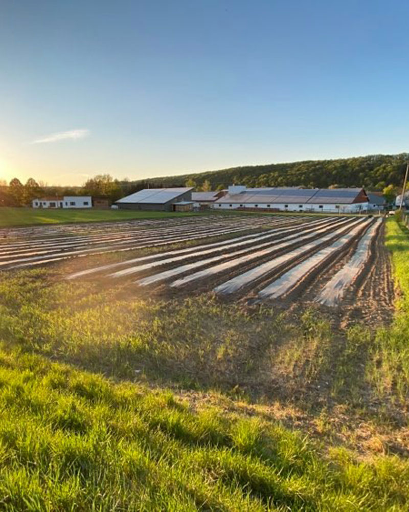 103367702_939620399813610_6780407402125625885_1